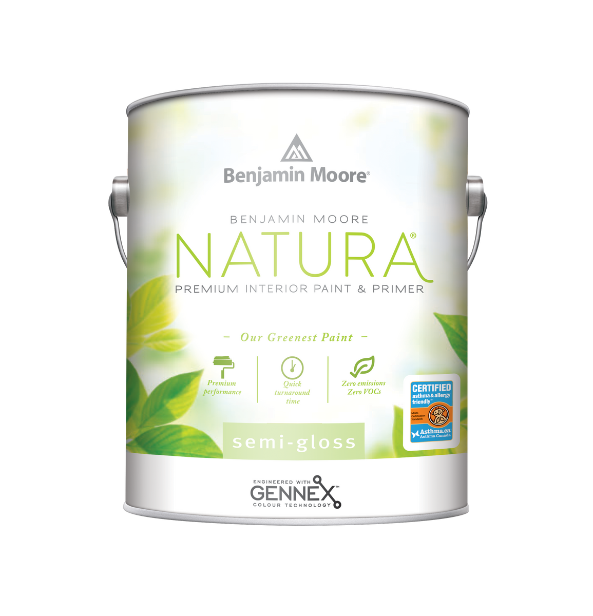 Benjamin Moore Natura Paint
